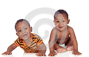 Two small identical black infants on white floor