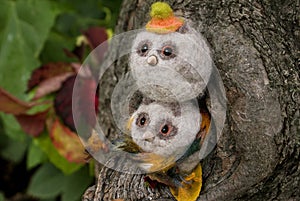 Two small owlets made of wool with beady eyes and a beak made of plastic in light colors