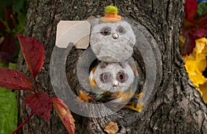 Two small owlets made of wool with beady eyes and a beak made of plastic in light colors