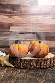 Two small pumpkins sitting on a cut log with a rustic wood background and extured burlap for fall autumn decoration in