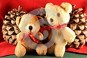 TWO SMALL TEDDY BEARS IN FRONT OF PINE CONES