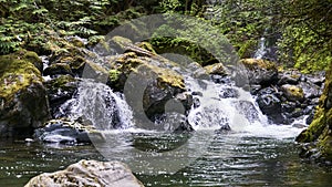 Two small waterfalls flow out of lush green bushes over mossy rocks to a bright green pool of water.