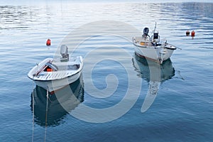 Two small white fishing boat in calm water