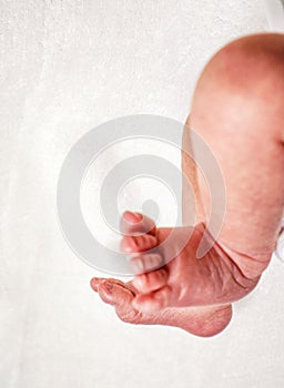 Two small whiteskin soft kid newborn legs