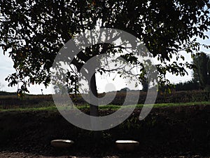 two small wooden benches under a walnut pond in ivars and vilasana, lerida, spain, europe