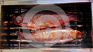 Two smoke-dried delicious fishes