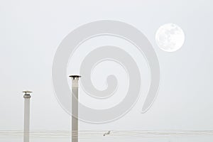 Two smokestacks and the moon while a seagull is flying crossing a grey sky