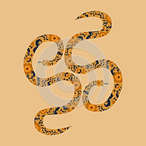 Two snakes with floral ornament. Vintage flowers and serpents hand drawn vector illustration.