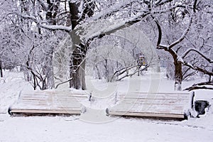 Two snow-covered benches