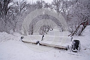 Two snow-covered benches