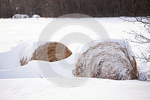 Two snow covered straw bales