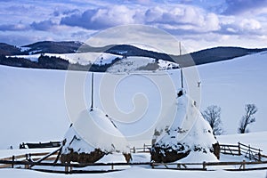 Two snowed haystacks photo