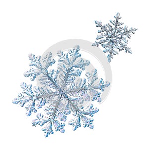 Two snowflakes isolated on white background