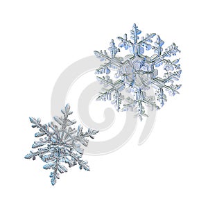 Two snowflakes isolated on white background