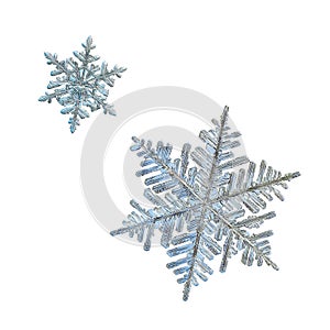 Two snowflakes isolated on white background