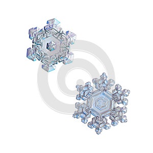 Two snowflakes isolated on white background