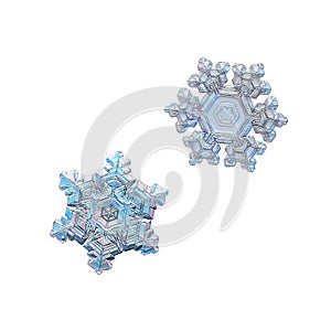 Two snowflakes isolated on white background