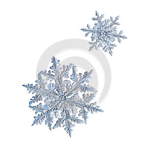 Two snowflakes isolated on white background