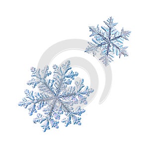 Two snowflakes isolated on white background