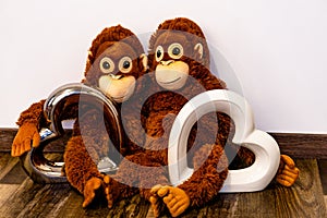 Two soft toy monkeys sit arm in arm on the one with two glass hearts