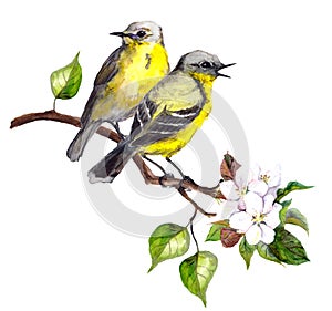 Two song birds on spring branch with leaves and flowers