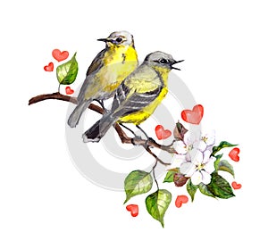 Two song birds on spring branch with leaves and flowers
