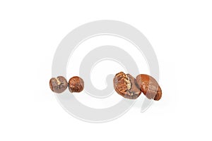Two sorts of arabica isolated on white background.