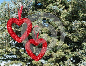 Two sparkly red hearts hanging on pine tree branches