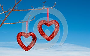 Two sparkly red hearts hanging on small tree branches