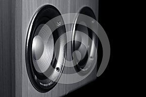 Two speaker systems