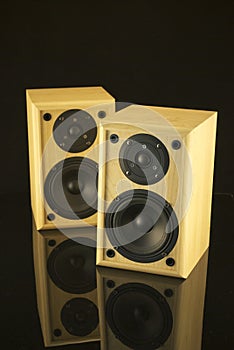 Two Speakers with reflection