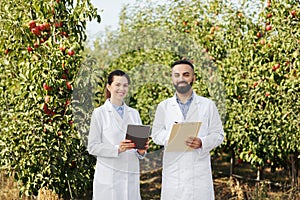Two specialists work on fruit farm and collect data