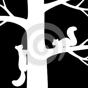 Two squirrel on the tree.