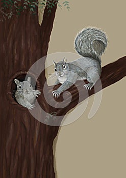 Two squirrels on a tree