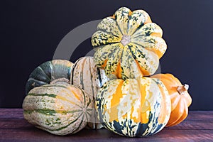 Two stacked Carnival squash surrounded by Delicata squash, Gold acorn squash, and Kabocha squash