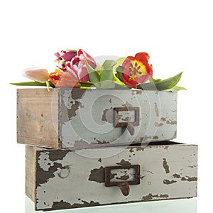 Two stacked drawers with tulips