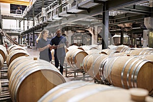 Two staff inspecting barrels in a wine factory warehouse