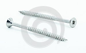 Two stainless steel wood screws on white