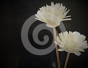 Two stalked white faux flower