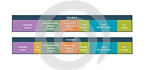 Two standard types of ethernet frame