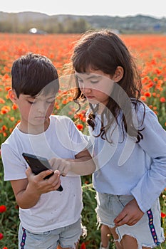 Two girls standing in poppy field taking photos with mobile phone