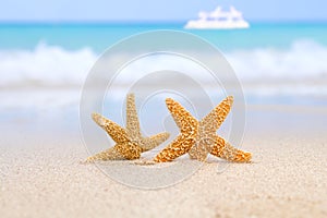 Two starfish on beach, blue sea and white boat