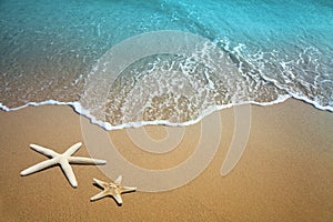 Two starfish on beach. Sand and sea wave