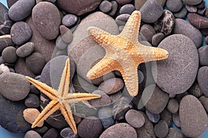 Two starfish on pebbles summer texture top view blue background