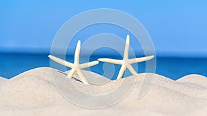 Two starfish on a sandy beach, concept of a summer holiday or vacation