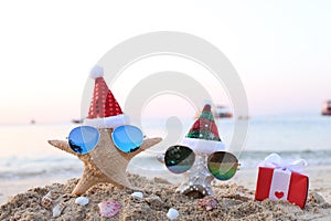 Two starfish on sea beach with sunglasses and santa hat for Merry Christmas and New Years