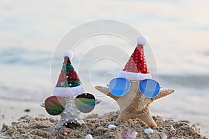 Two starfish on sea beach with sunglasses and santa hat for Merry Christmas and New Years