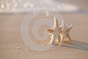 Two starfish on sea ocean beach in Florida, soft gentle sunrise