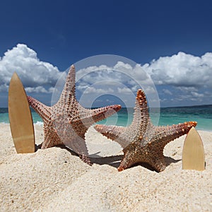 Two starfish surfers on beach