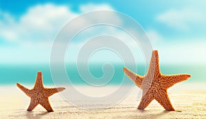 Two starfish on white sand beach with ocean